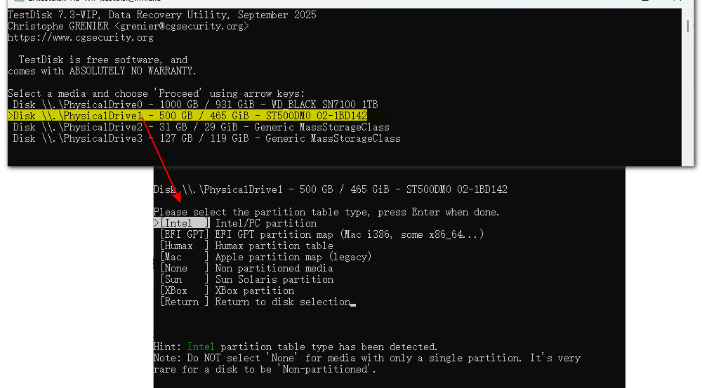 Choose partition table for your RAW disk