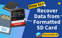 How to Recover Formatted SD Card
