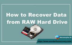 Recover Data from a RAW Hard Drive
