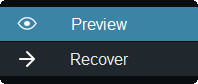 Preview and Recover Button