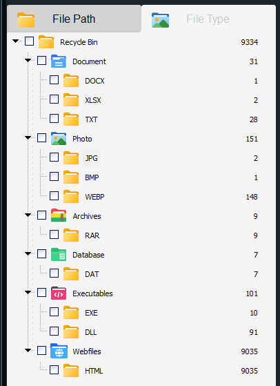 Filter Files by File Type or Format