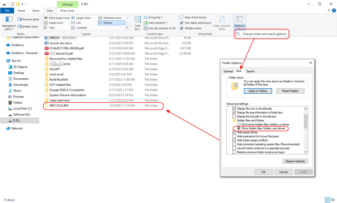 Show Hidden RECYCLE BIN Folder