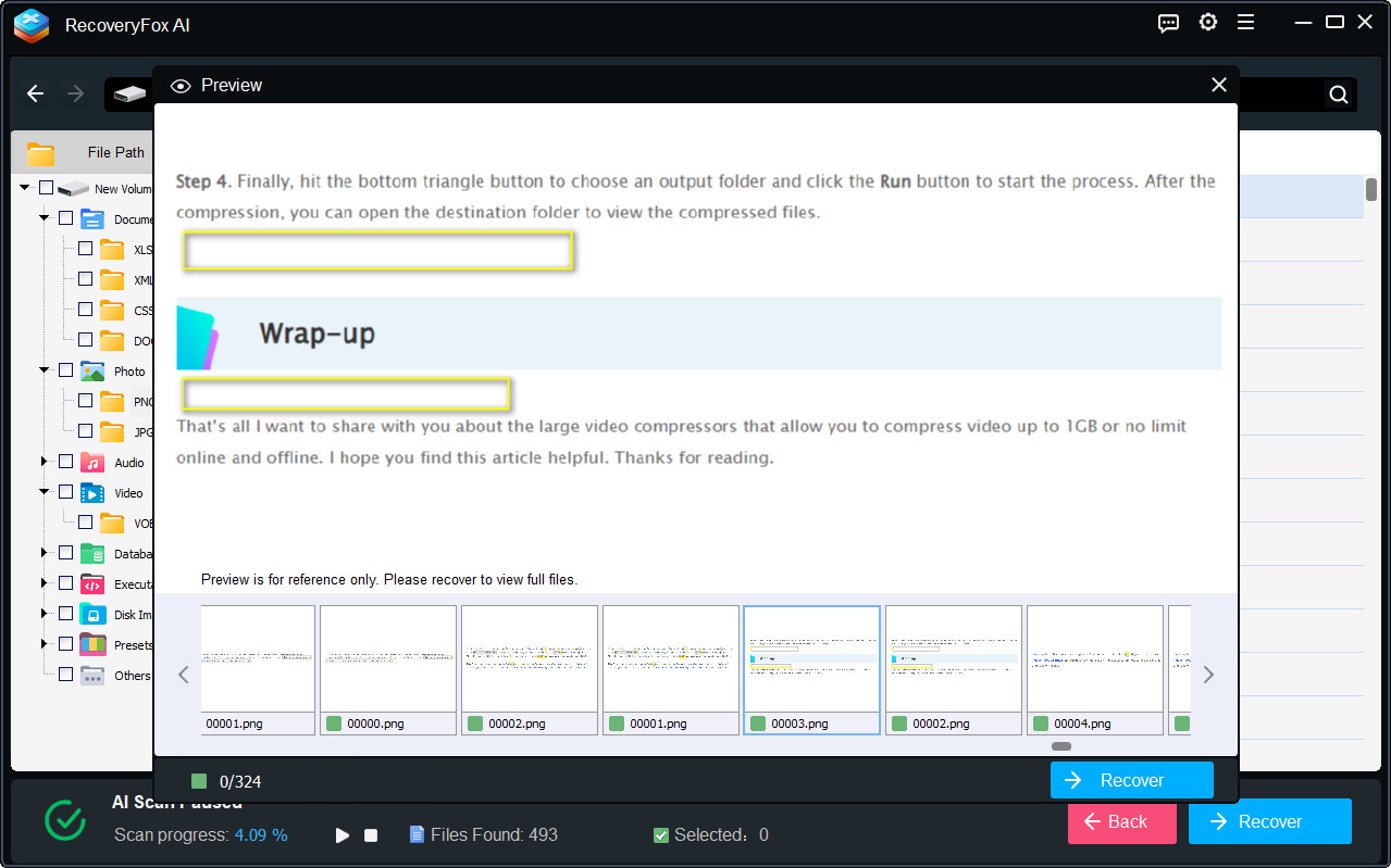 Preview and Recover