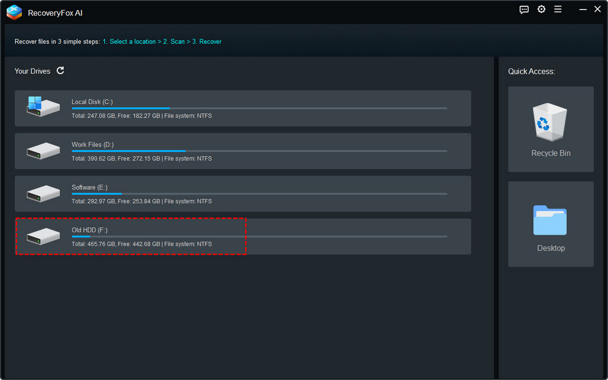 RecoveryFox AI Startup Interface