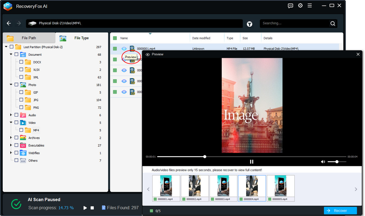 Preview the recoverable USB files
