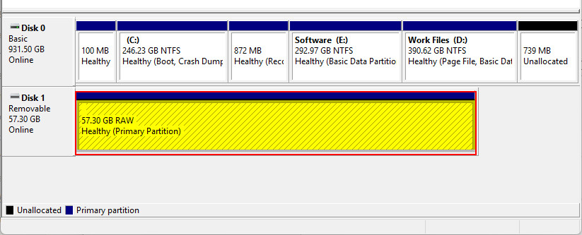 USB read as RAW in Disk Management