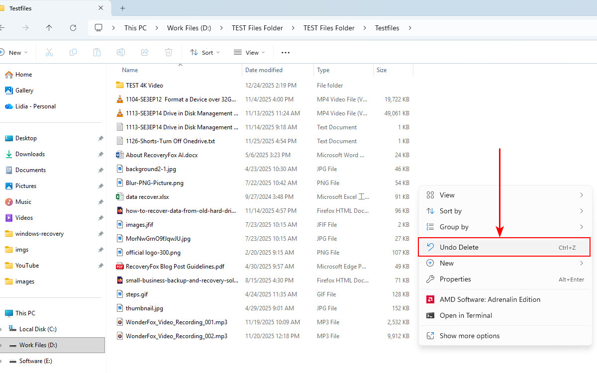 Undo Deleted Files in Windows 11