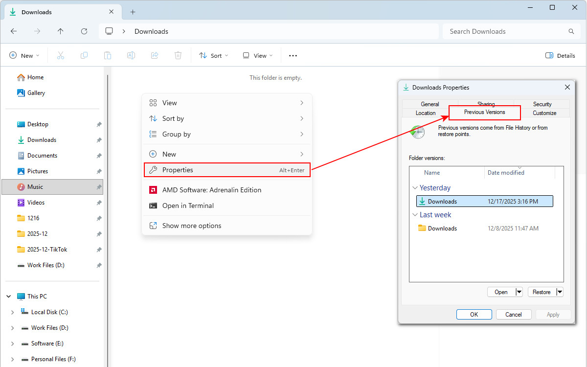 Open Previous Versions