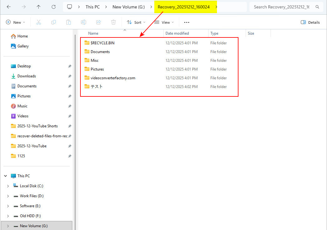 Output All Lost Files 